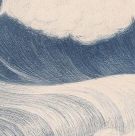 what are you looking for?